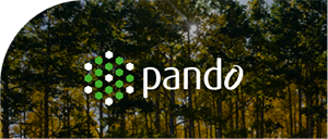 Make freight intelligent with Pando